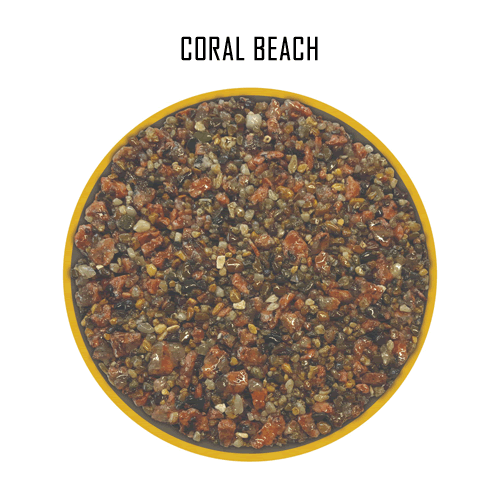 images/banners/CORALBEACH.png#joomlaImage://local-images/banners/CORALBEACH.png?width=500&height=500