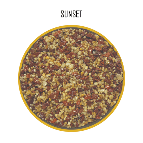 images/banners/SUNSET.png#joomlaImage://local-images/banners/SUNSET.png?width=500&height=500